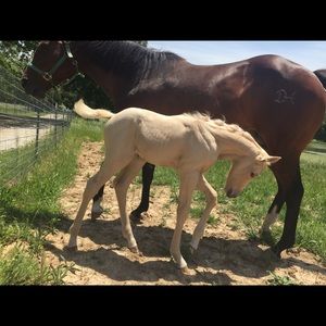 Meet your Posher, Karen